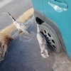 ゴトン。