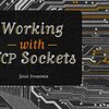 Working with TCP Socketsを読み終わった