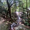 滝と川　水が必要
