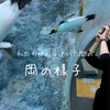 違う土地でどう動くか。の話。