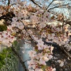 思っていた以上にベテランだった！
