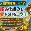 ビワの開花時期はいつ？受粉の仕組みと実をつけるコツ
