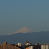 今朝の富士山です。