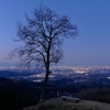 皇鈴山からの夜景（埼玉県東秩父村）
