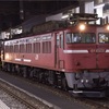 2024年11月　DD200-702甲種輸送を狙う