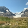 カナダ　ロッキー山脈　子連れ旅行　2021年夏　＜＃2 コロンビア大氷原が無くなってしまう！？＞　ビックホーンシープに遭遇！
