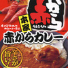 今日の食べ物　朝食にレトルトカレー