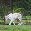 3日目は動物園/12月27日【ハワイ留学】