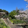 山手公園と港の見える丘公園で花をみる 横浜観光名所桜と花めぐり(4)