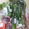 【パルシステム】有機野菜セット 11～12月