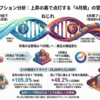 期先ロールと「52,000P」への警戒監視ブリーフィング