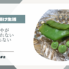 やってみよ〜で始まったぬか漬け生活〜野菜コーナーを見るのが楽しくなった！