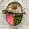 ジブリ飯『となりのトトロのメイちゃんのお弁当』