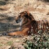 行き当たりばったびレポート【ウン十年振りの動物園】