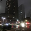 （紹介：雨の夜）雨の夜新宿中央公園を紹介するよ