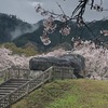 雨でも美しい 桜が彩る石舞台古墳・飛鳥寺・橘寺