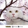 海になる前に..(*^-^*)