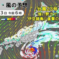 tomatototomatototomatoの【横浜】2020/05/20