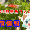 【入荷情報】1/28熱帯魚フレンド