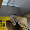 「歌川国芳展　奇才絵師の魔力」in 大阪中之島美術館