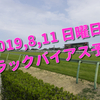 2019,8,11 日曜日 トラックバイアス予想 (新潟競馬場、小倉競馬場、札幌競馬場)