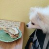 犬OK 海鮮食べれるお店 いろは