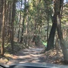 御殿場市で素敵なお蕎麦屋さんを見つけた