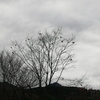 秋から冬に移る風景と雲たち