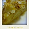  ドイツ風リンゴケーキ