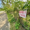 大原地区の沈砂池（仮称）（沖縄県西表島）