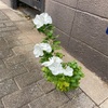 傘がない
