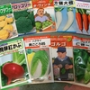 秋冬野菜の種蒔きのメドがつきました。