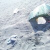 何度砂に埋めても、夫が蘇る。