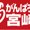 がんばれ！宮崎（子連れにおすすめ宿泊プラン）
