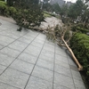 台風一過。