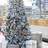 10周年ソウル食倒れ旅 :1日目