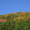 春色と秋色の三段重ね～京都・八瀬の里山より～