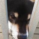 yumihikoshiの日記