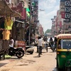 【インド】やっぱり都会だ…おじいちゃんとヘナタトゥー