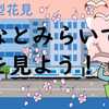 都市型花見  みなとみらいで桜を見よう！