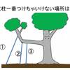 樹木医的？クイズ　支えるって難しい