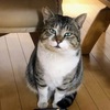 マルちゃんを、猫可愛がり・・