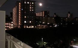 記事を見る
