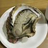 雑感　Vol.272　～岩ガキ～