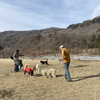 ●白馬旅行　一日目　芝生広場🐕