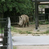 ２０２１／０９／２６　東武動物公園