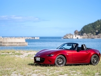 蒼海を望む、バースデードライブ