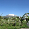 弘前・岩木山麓をめぐり、青森からフェリーに乗って函館まで！