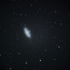 おおぐま座 渦巻銀河 NGC2976 by C-14 + ﾚﾃﾞｭｰｻｰ