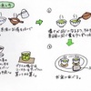 お茶の出し方